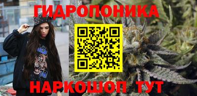 дурь Кимры