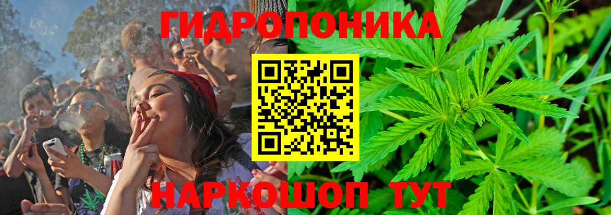 Красногорск  Шишки марихуана Amnesia  Бошки Шишки конопля  Вход с VPN  Марихуана Bruce Banner  Марихуана планчик 